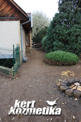 Gyomos fű eltávolítása után (4)